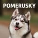 Pomerusky