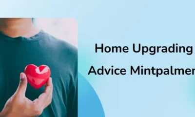 home upgrading advice mintpalment