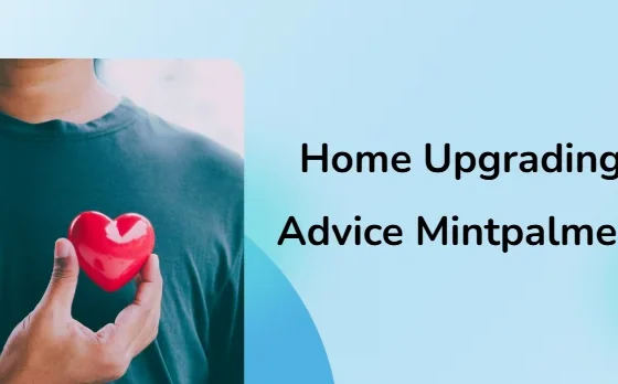 home upgrading advice mintpalment