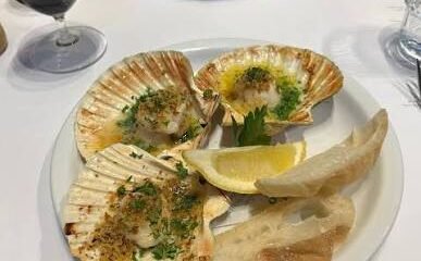 rockfish sidmouth