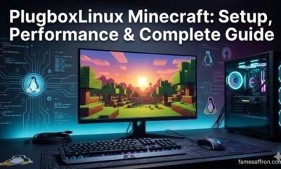 minecraft plugboxlinux