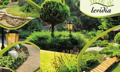 levidia